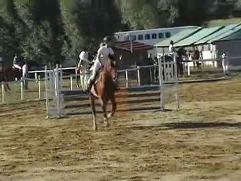 Gunfire chalamont cso 2ème jour mag CL1