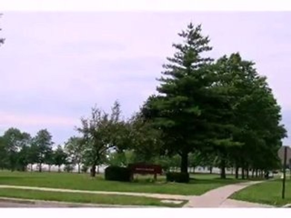 Homes for Sale - 6818 Hemlock St - Hanover Park, IL 60133 -