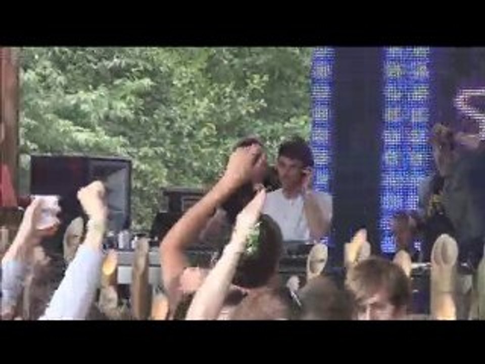 Steve Bug @ Tomorrowland 2010