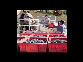 Wine Channel TV with Kathryn Hall and Hall Wines