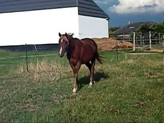 Visite chez Julie et Tahleel - juillet 2010