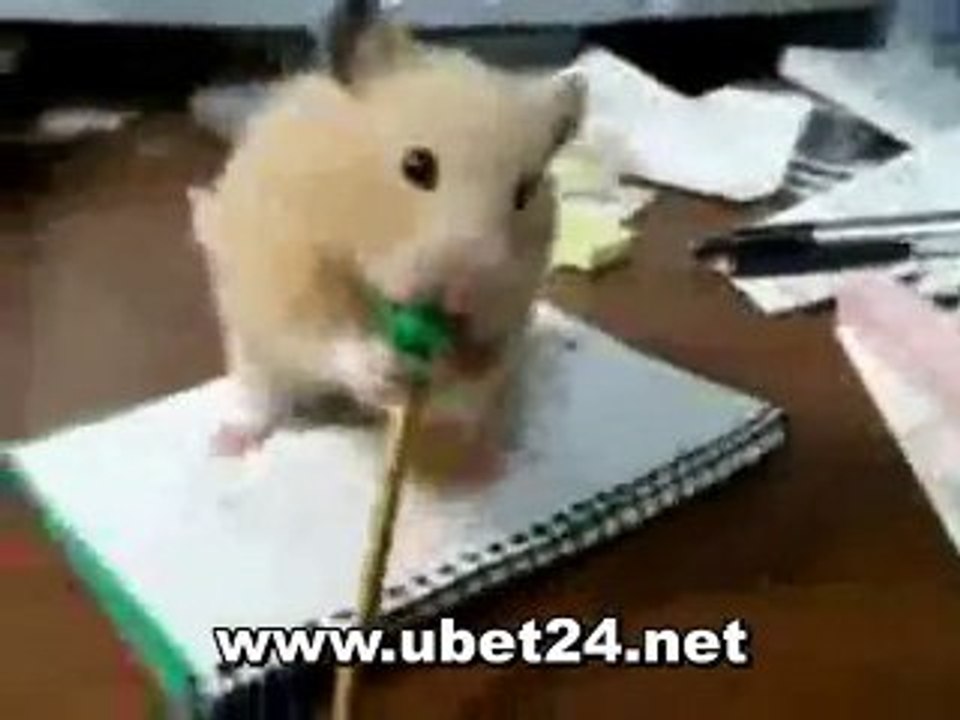 Extreme Hamster Backen *verry nice*