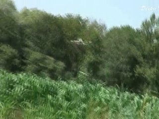 Vol du DREAM'IT (distri-model-rc)