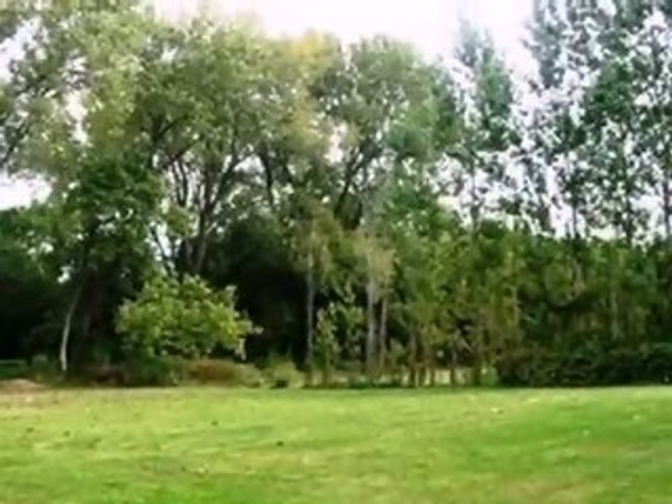 Homes for Sale - 6N329 Cloverdale Rd - Roselle, IL 60172 - C