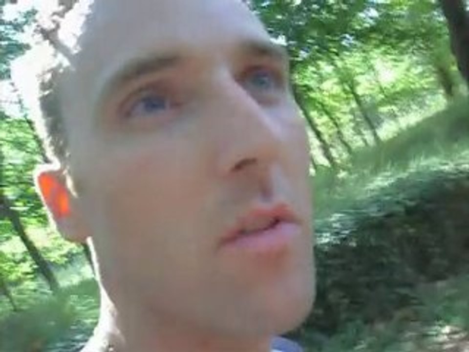 road trip standard d e la pince by cwg