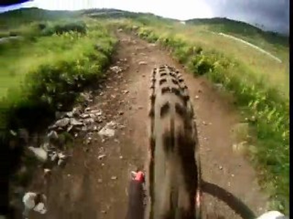 Dh superbesse 2010