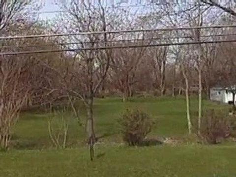 Homes for Sale - 20238 Crawford Ave - Matteson, IL 60443 - C