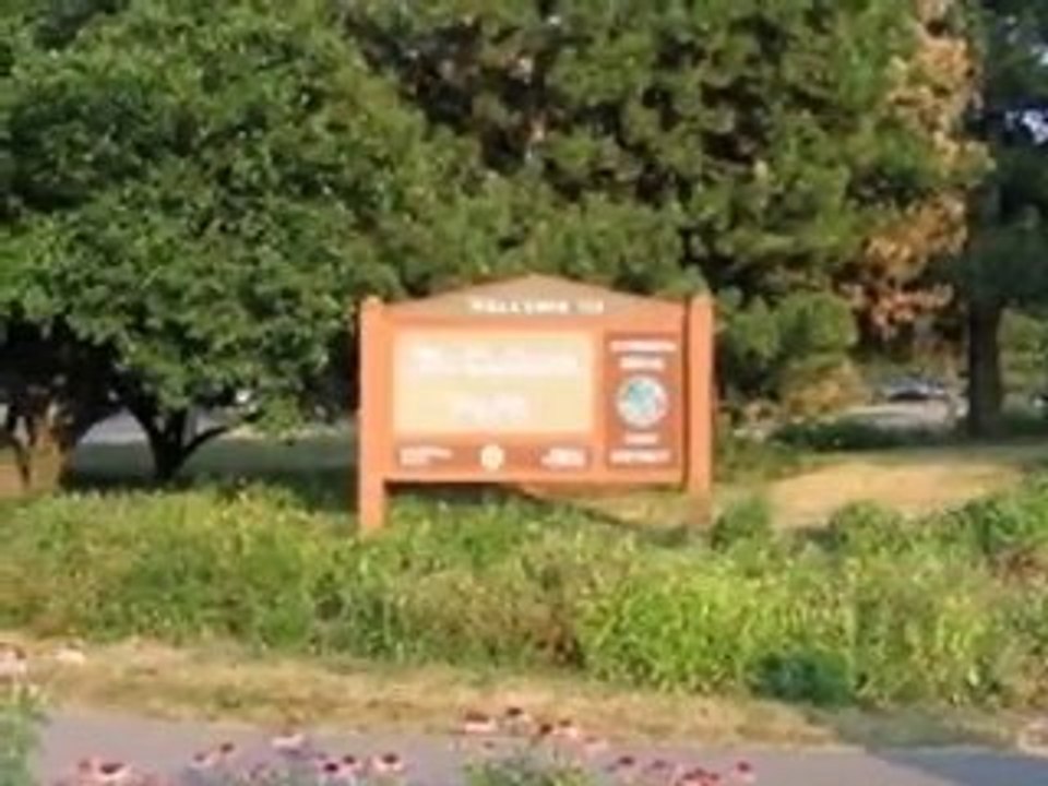 Homes for Sale - 4117 Sterling Rd - Downers Grove, IL 60515