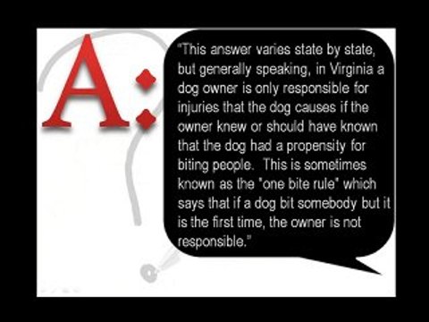FAQ Dog Bite Laws in Virginia, Owner Liability