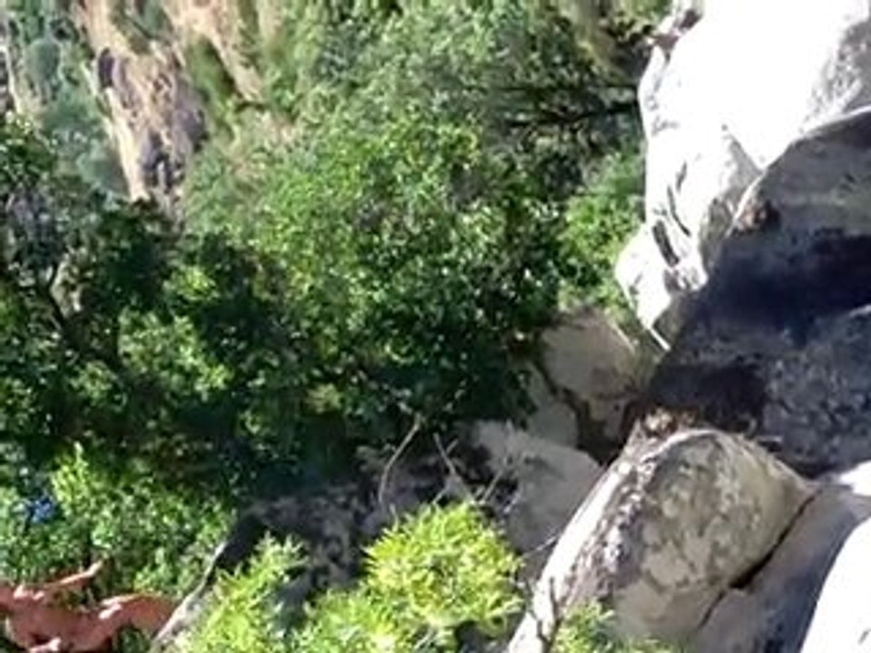 Camp pios 22