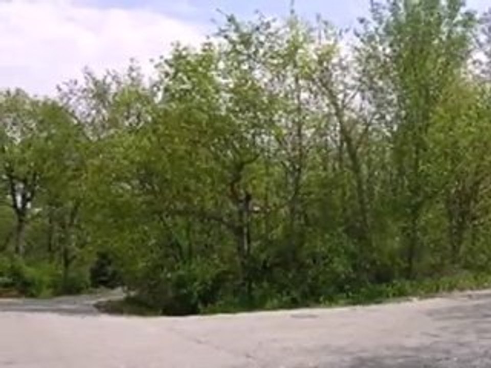 Homes for Sale - 25 S Woodland Trl - Palos Park, IL 60464 -