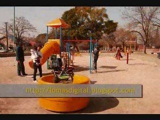 LOMAS DIGITAL, Resumen 1deAgosto de2010_0002