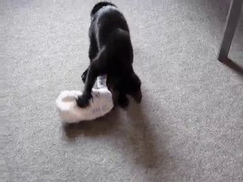 La Chaussette magique II