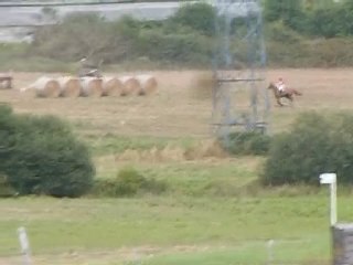 CCE Questembert 2010