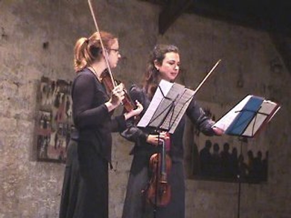 Mon violon dingue Chanson de Robin Belfond/Eric Miller