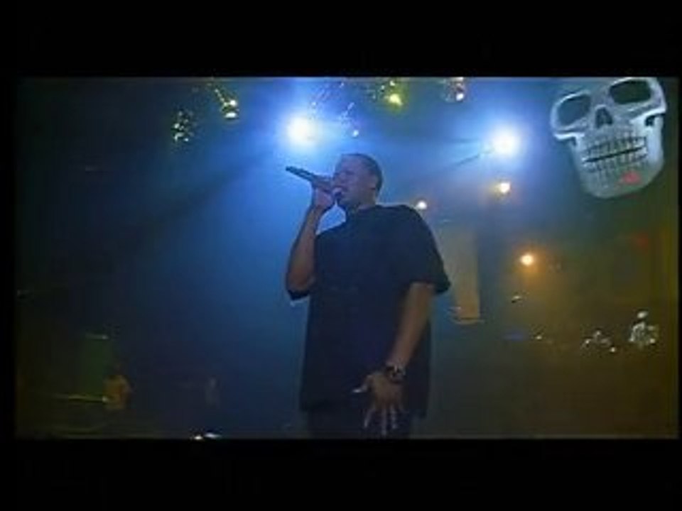 The Up In Smoke Tour  hommage a Tupac