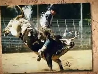 Caledonia Ontario Stampede Days