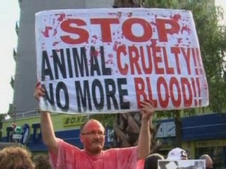 Protestors hit first bullfight since ban