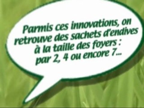 Perle du Nord - Je suis une endive