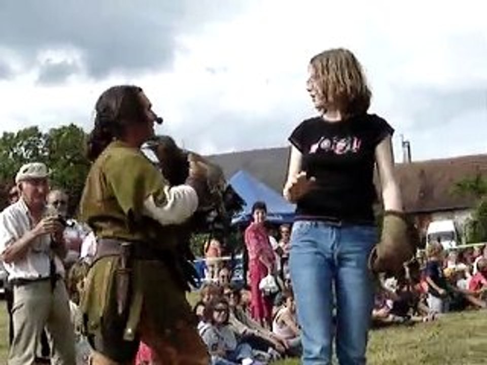 mimille et l'aigle
