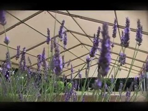 Buster Marquees - Marquee Hire Nottingham