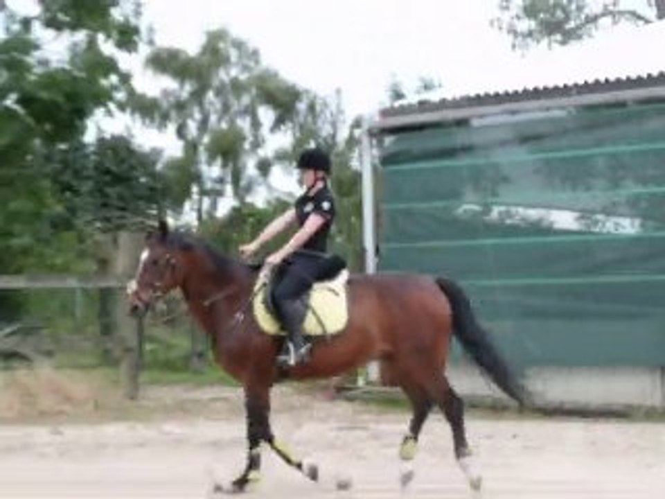 Morgane et Buster