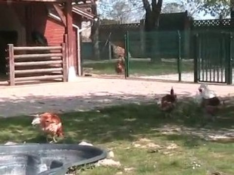 silence au parc de la coulée verte à Paray Vieille Poste 91