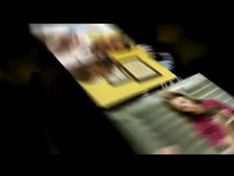 Spay Neuter Vet New Port Richey FL - Richey FL Spay Neuter