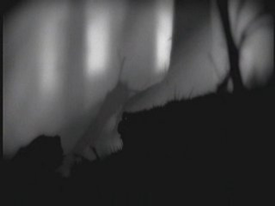 Preview Limbo (XLA)