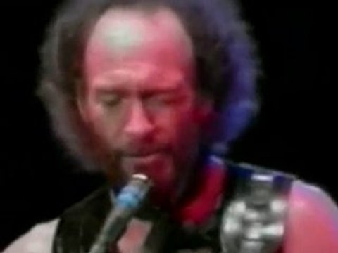 Jethro Tull - Mother Goose(Live,7.13.1991)HD