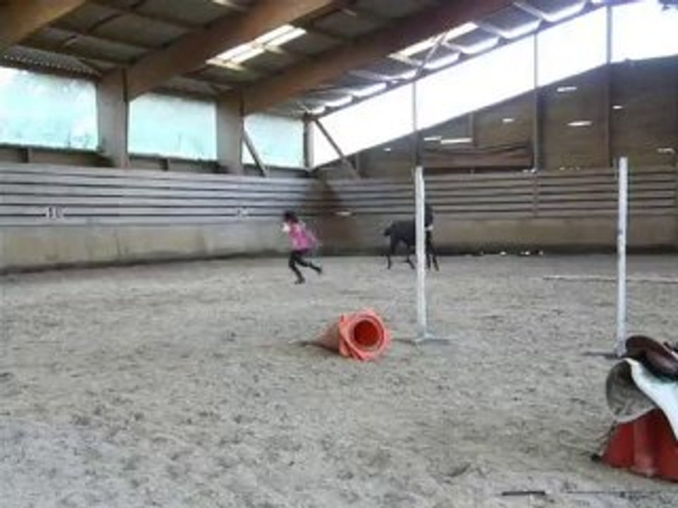 été 2010 extraits1