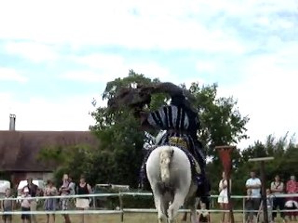 aigle+ chevaux