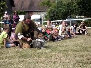 bébé chouette effraie