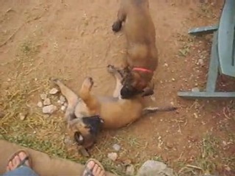 bébés caila de karysha et ray ban des plaines de thiérache