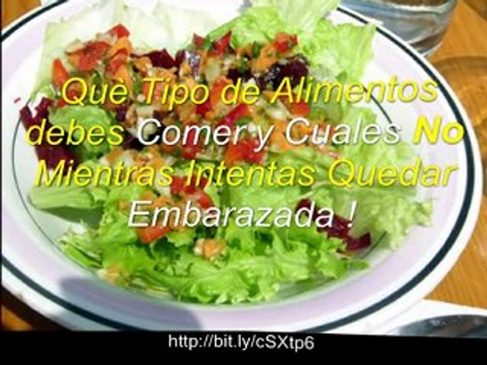 Quiero Tener Hijos - Quedar Embarazada en 60 Dias