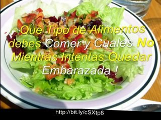 Quiero Tener Hijo - Quedar Embarazada en 60 Dias