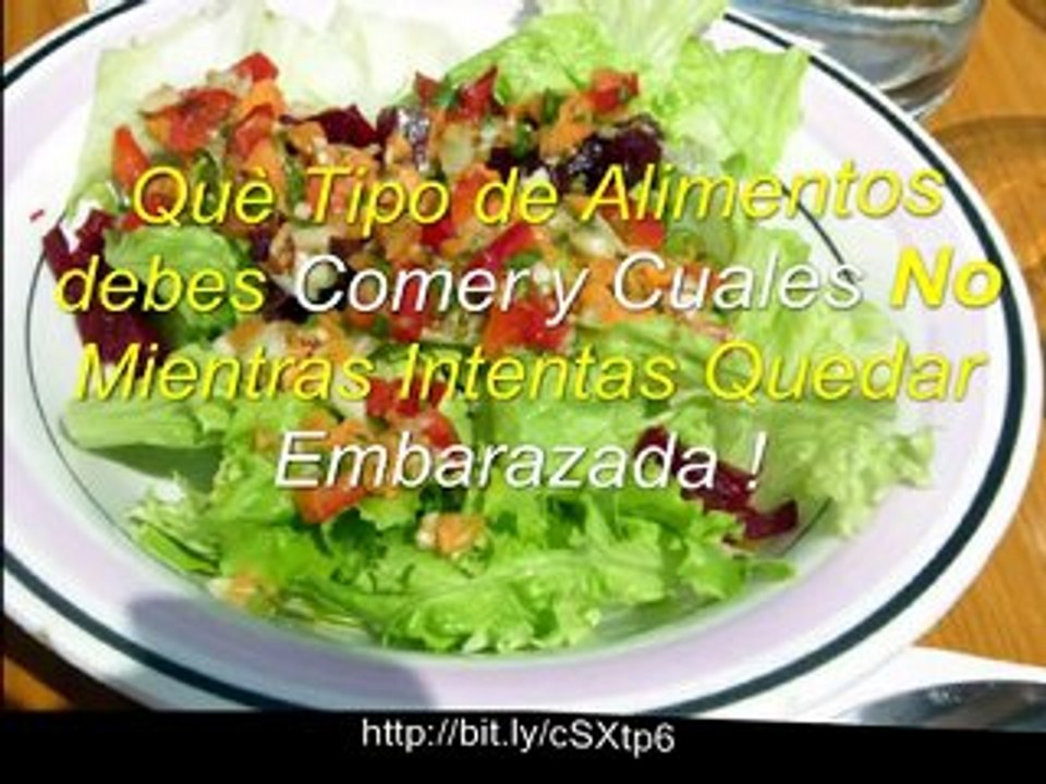 Quiero Tener Hijo - Quedar Embarazada en 60 Dias