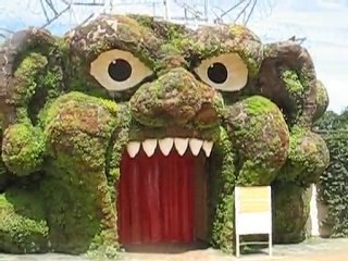 Terra Botanica : orgre végétal