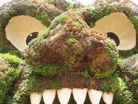 Terra Botanica : zoom orgre végétal