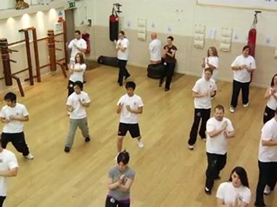 Introduction to the Kung Fu Schools