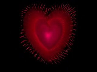 benim zoruma gıdıyor