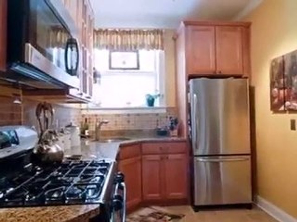 Homes for Sale - 738 Hinman Ave Apt 1E - Evanston, IL 60202