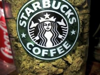 RoGi Wallace :"SENSIMILLIA Special Dubplate"