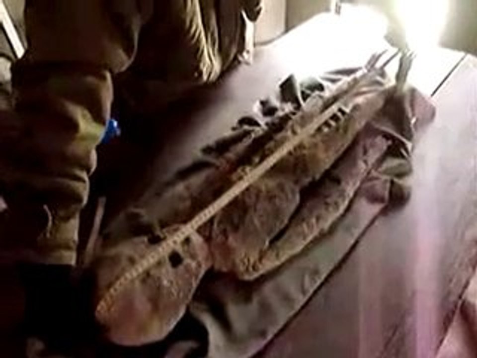 Cadavre d'un Alien!?