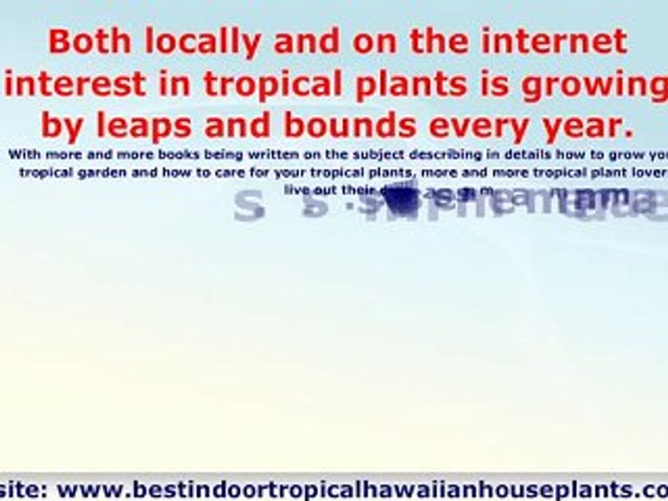 Exotic Tropical Plants - Grow Your Own Tropical Garden