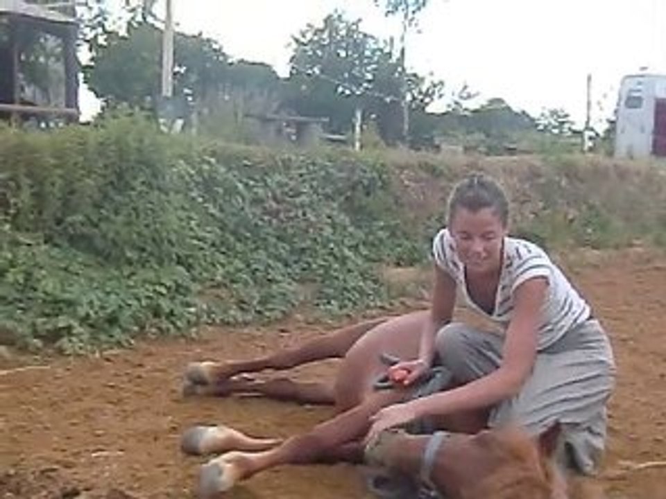 coucher finca