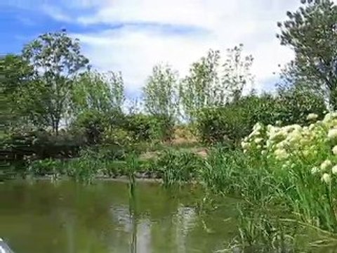 Terra Botanica : histoire 1