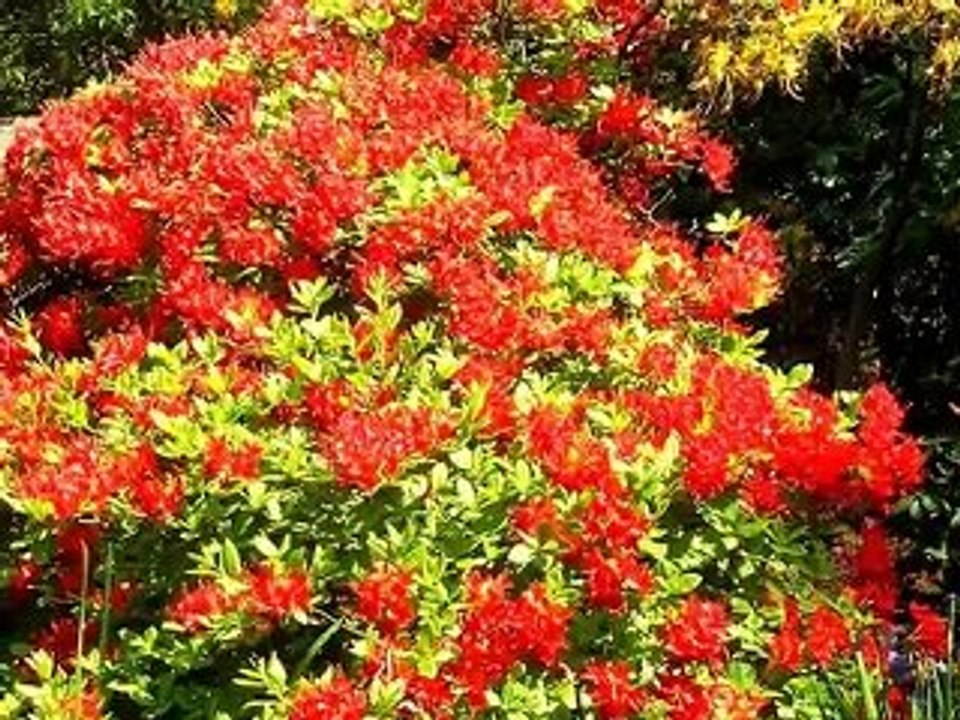 Spacer po Kluczborku