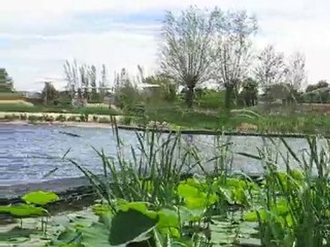 Terra Botanica : histoire 2