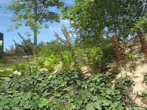 Terra Botanica : histoire 3